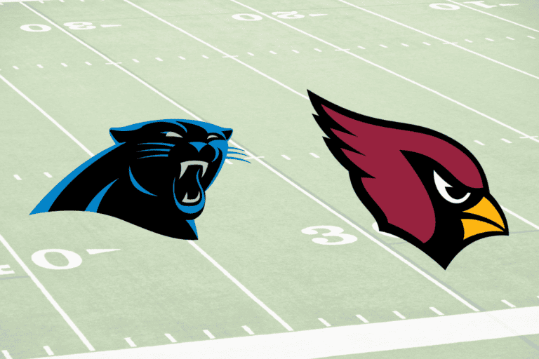 7 Football Players who Played for Panthers and Cardinals