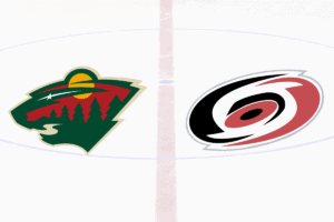 Hockey Players who Played for Wild and Hurricanes