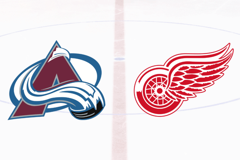 6 Hockey Players who Played for Avalanche and Red Wings