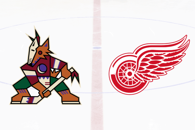 7 Hockey Players who Played for Coyotes and Red Wings