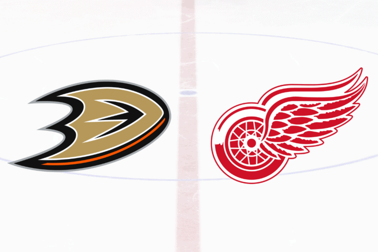 6 Hockey Players who Played for Ducks and Red Wings