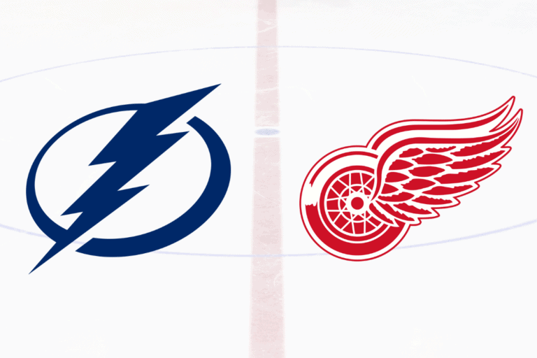 Hockey Players who Played for Lightning and Red Wings